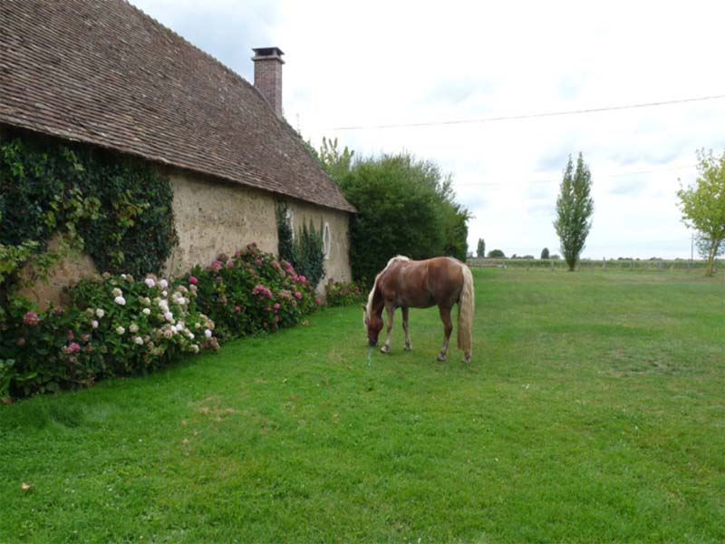 Gîte la Petite Chauvière_72220 LAIGNE EN BELIN_3 Gîte la Petite Chauvière_72220 LAIGNE EN BELIN_3